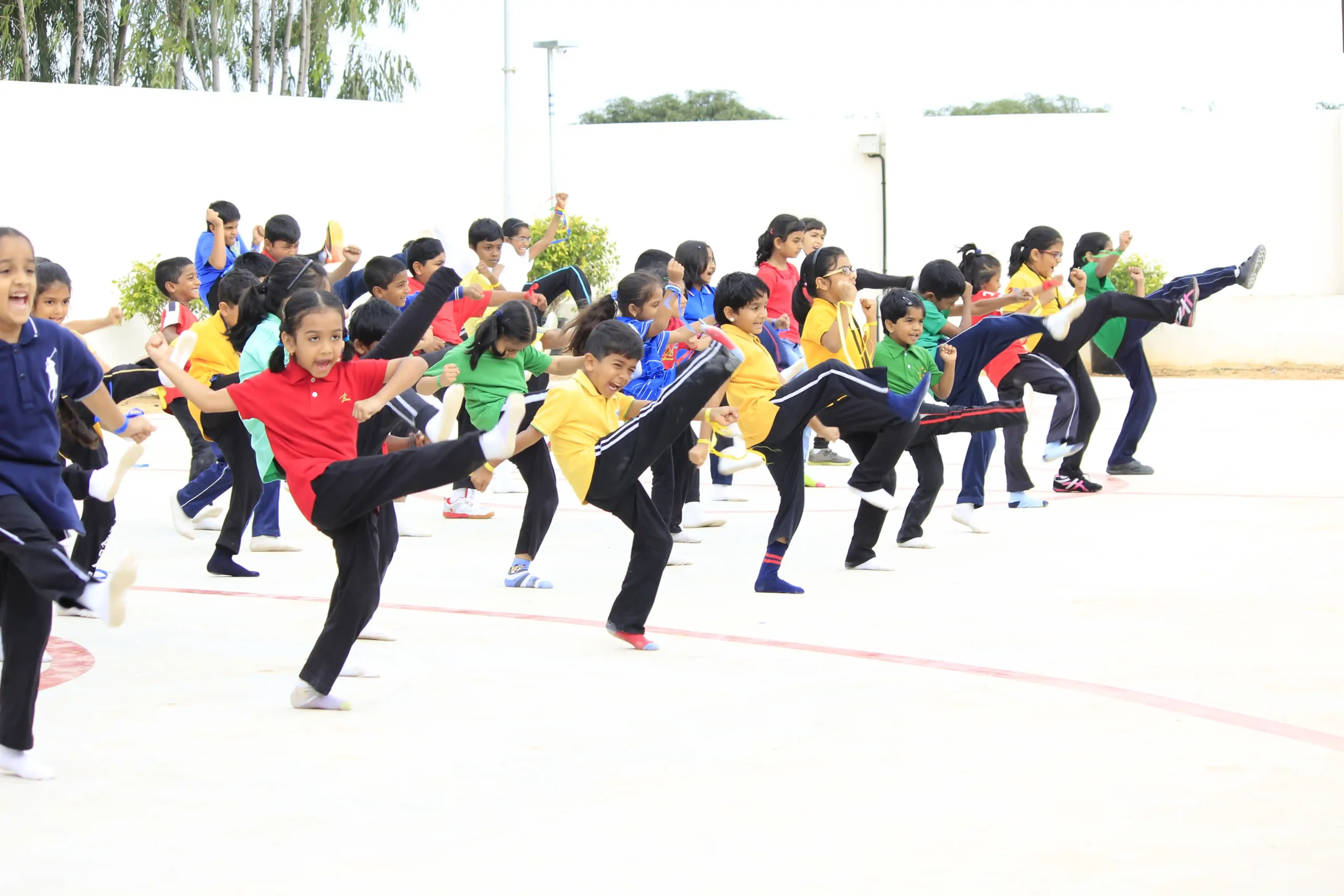 Taekwando - Students