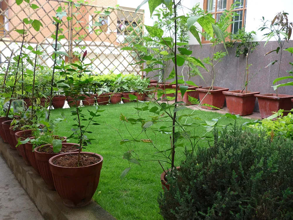 a-p1100803
