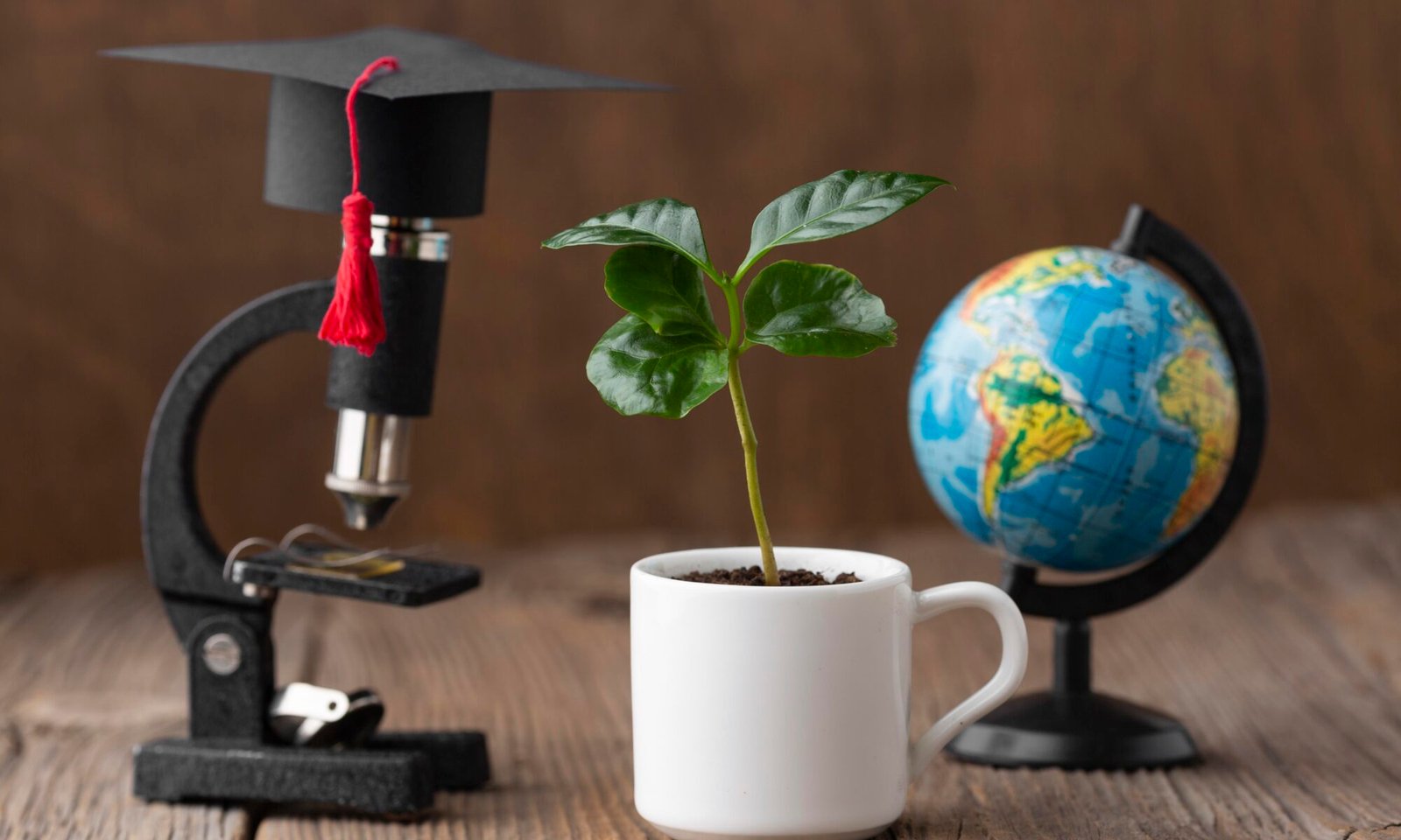 Globe and plant