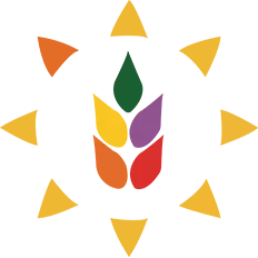 Logo icon